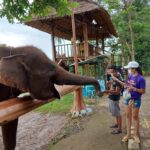 berinteraksi langsung dengan gajah
