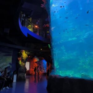 Aquarium Raksasa