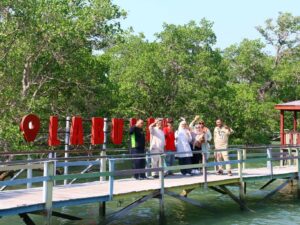 wisata taman belajar mangrove labuhan