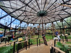 Big Bird Aviary Lembang Zoo